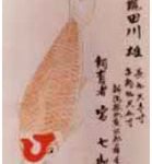Asal Usul Ikan Koi