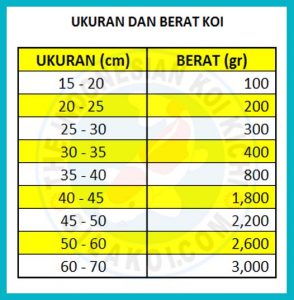 jumlah bioball untuk kolam koi