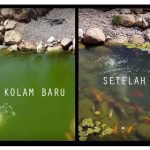 kolam baru