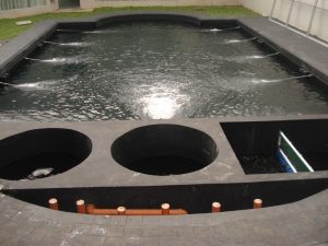 tukang kolam ikan